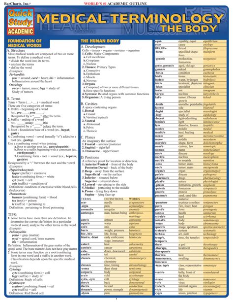 ferr medical term